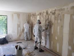 Why You Should Choose Our Mold Remediation Services in Holly Hill, FL